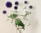 高齢者の食事の悩み、相談のります 嚥下機能や、栄養状態に合わせた食事を一緒に考えます。 イメージ1