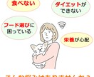 ペットフード（犬・猫）のご相談承ります ペットフードの国際エキスパートが個別カウンセリング！ イメージ2