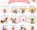 写真からうちの子LINEスタンプ制作します 審査申請まで丸ごとお任せください イメージ5