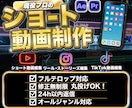 迅速丁寧！現役プロがショート・広告動画を制作します 丸投げOK！高品質な動画編集代行！最後まで見られる動画作り！ イメージ1