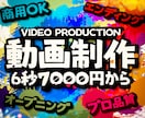 ご相談だけでも！低価格で高品質な動画を作成します 幅広いジャンルのハイクオリティで個性的な動画を作成します イメージ1