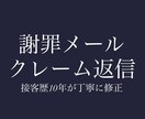 クレームにならない丁寧な接客メールに添削します 接客歴10年｜アパレル販売6年の現場目線で改善します イメージ1