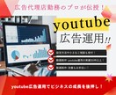 初心者必見！WEB広告のプロが運用します 低予算でも成果実感！YouTube広告でビジネスの成長促進！ イメージ1