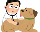現役獣医師があなたのペットについてアドバイスします 病気、ワクチン、薬、セカンドオピニオンなど相談乗ります！ イメージ1