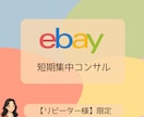 リピーター様専用≫eBay物販の集中コンサルします アカウント運用全般をトータルサポートする短期集中コンサルです イメージ1