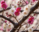 仕事は「できる」より「してしまう」癖/お聞きします 無理をやめる勇気/こわれてしまう前に/努力だけが価値ではない イメージ6