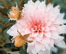 写真素材提供致します 様々なジャンルの写真提供します イメージ3