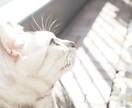 1日何通でも✱どんなお話しでもお聞きします 愚痴や悩み何でもOKです☆長文短文気にせずご利用下さい☆ イメージ5