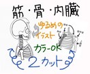 筋肉、骨、内臓のかわいいイラスト描きます とっつきやすい、わかりやすい、ゆるめの絵を探している方へ！ イメージ1