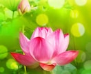 毒親””に関しての御話御伺い致します ツライ～から・・誰かに聞いて欲しい！♪御聞き致します♪！☆彡 イメージ6