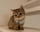 愚痴聞きます 悩み事が多くてしんどい人イライラが溜まってしまった人 イメージ1