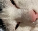 全ての愚痴や悩み、あなたを交代します 自己肯定感上げ師。何でも屋のオカザキです！ イメージ1