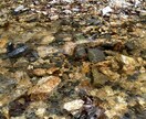 あなた本来の輝きを取り戻すサポートをします 。気功や高次元エネルギーで、身体を浄化&エネルギー注入！ イメージ2