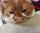 お話し聞きます 現役人事部長があなたのお悩みをじっくりお聞きします。 イメージ1