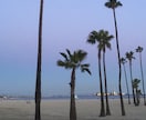 アメリカ留学の相談承ります カリフォルニア州立大卒の実体験に基づくアドバイス イメージ2