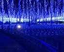 あなたのお悩みや、不満、愚痴を聞きます 心理カウンセラーとして、心の重荷や不安を軽くしたいです！ イメージ1