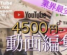 総実績数500件以上！格安で動画制作/編集します 【総実績500件以上】高品質・最安値・即納品の3点セット！ イメージ12