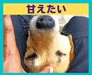 年上女性に相談★誰にも言えない気持ち、お聞きします ありのままで肩の力を抜こう☆カッコつけなくていい・話して解放 イメージ6