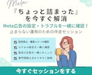 Meta広告の設定・不具合を一緒に解決します 設定まわりのつまずきを一緒に解消する単発相談プラン イメージ1