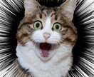 SNS向けの動画や写真加工いたします おもしろ動画や写真を仲間に送ろう イメージ5