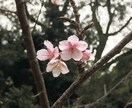 うちの子、中学受験に向いてる？にお答えします これから始めたい方も通塾中の方も、セカンドオピニオンにどうぞ イメージ1