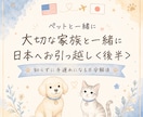 ペット【後半】日本生き、帰国までの道筋が見えます あなたの役割を日本語で知る！最後まで落ち着いて安心な準備を。 イメージ1