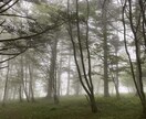 気軽に話しよ〜。。秘密のこと•相談何でも聞きます ここは会社でも家庭でもない場所だから　お悩み話してね＾＾ イメージ8