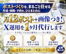 月12ポスト＋画像つき！X運用を1ヶ月代行します ポスト12本と画像を予定表で納品。定期購入可 イメージ1