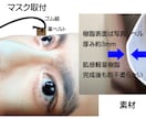 写真1枚から制作◎リアル立体お面・簡易型作ります 実績：NHK紅白歌合戦・ガキ使・逃走中等多くの番組用制作。 イメージ8