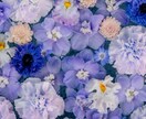 初回限定☆タロット、チャネリングで鑑定します モヤモヤを解消し、あなたの望む未来へ導きます☆ イメージ5