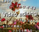 オシャレでナチュラルな動画編集承ります YouTube/Vlog/ゲーム/オールジャンルご相談下さい イメージ1