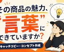 商品の魅力的なキャッチコピー・コンセプト作ります 「なんとなく良い」を、「欲しくなる言葉」に変えます！ イメージ1