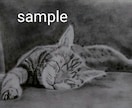 愛犬、愛猫、ペットのリアルな似顔絵オーダー承ります 精密描写で描きます。インテリアアートなどにいかがでしょうか。 イメージ5