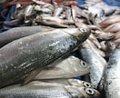 得意分野(生物・料理等)多いです！全力で書きます 特に生き物や自然環境のこと、料理の事など、お任せを イメージ1