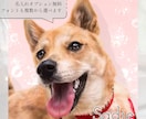 きらめく瞳のペット似顔絵｜キャンバス印刷できます 写真が暗くても丁寧に調整します／犬猫小動物OK／ギフトにも♪ イメージ2