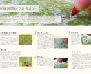 かっこいいチラシ製作します 人目を惹くチラシを作ります【フラットなデザインご提案します】 イメージ2