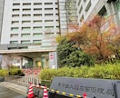 日本へ短期滞在する査証(ビザ)の申請お手伝いします 外国人さんも日本人さんも国際業務専門行政書士にお任せください イメージ2