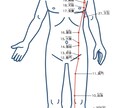 陰陽五行鑑定☯️東洋医学であなたの体質をみます 陰陽五行で体質と心を読み解き、不調と運気の流れをアドバイス イメージ4