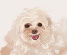 ペットの写真をそのままイラストにします あなたのうちの子をふわっと油絵風の可愛いイラストに！ イメージ6