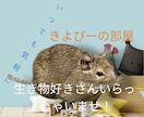 犬猫小動物｜生き物好きさんの相談や自慢話を聴きます トークルームで10通やりとり-通話と違い落ち着いてトーク可能 イメージ1