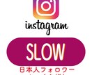 フォロワー100人増えるまでアプローチ致します 100人〜1000人！ゆっくり増加！リアル日本人ユーザー！ イメージ1