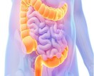 自力で腸を強くする30の方法教えます 痩せたい！免疫力を上げたい！腸活生活 イメージ1