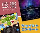 演奏会/コンサート/ライブの宣伝チラシ作ります 演奏会の宣伝にお困りの方へ！アマチュア向け制作実績有 イメージ2