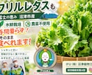 売れるPOP画像を作成します 思わず手に取る一枚に仕上げます イメージ3