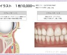 医療★リアルなイラスト★現役の検査技師が描きます こちらのページは価格変更のため終了しました。 イメージ2