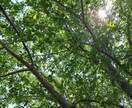 キャリアのお悩み一緒に整理します キャリアの棚卸をしてあなたの強みを明確に イメージ1