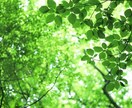 気軽に雑談おしゃべりします 誰かと話したい時、短時間でもお話ししましょう。雑談OK。 イメージ10