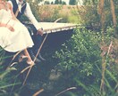 あなたは理想の男性と巡り会えます なかなか結婚できなくても諦めないで、理想の人と出逢えます イメージ2