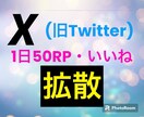 X(旧Twitter)3投稿50RP拡散します RP・いいねを増やしてあなたの投稿をもっと輝かせます✨✨✨ イメージ1