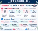 競合EC3ショップの販売条件を比較します 面倒な競合調査を公式情報から見やすく整理 イメージ5